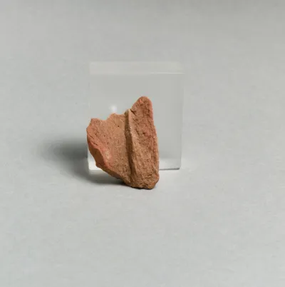 Vase fragment