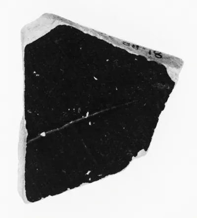Attic Panathenaic Amphora Fragment