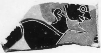 CUP, SIANA, FRAGMENT (ATHENIAN, BLACK-FIGURE)