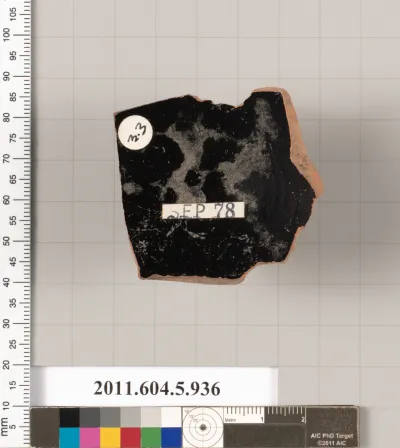 Terracotta fragment of a kylix (drinking cup)