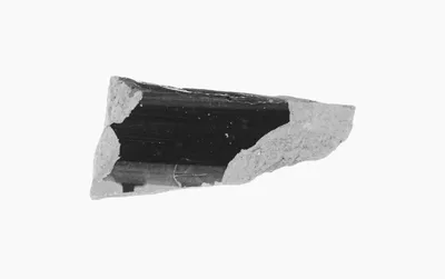Attic Black-Figure Vase Fragment