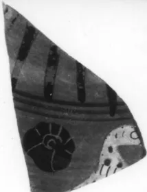 LEKANIS LID, FRAGMENT (ATHENIAN, BLACK-FIGURE)