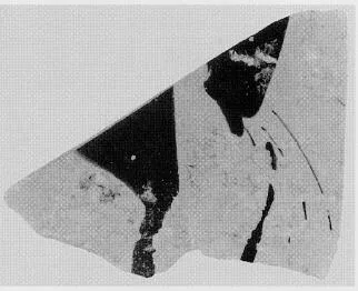 PELIKE, FRAGMENTS (ATHENIAN, RED-FIGURE)
