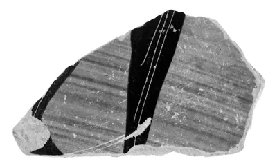Attic Black-Figure Amphora Fragment (Consists of Four Non-Joining Fragments)