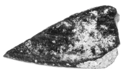 Undecorated Base Fragment