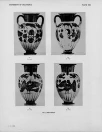 AMPHORA, NECK (CHALCIDIAN, BLACK-FIGURE)