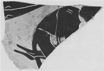 CUP, FRAGMENT (ATHENIAN, BLACK-FIGURE)