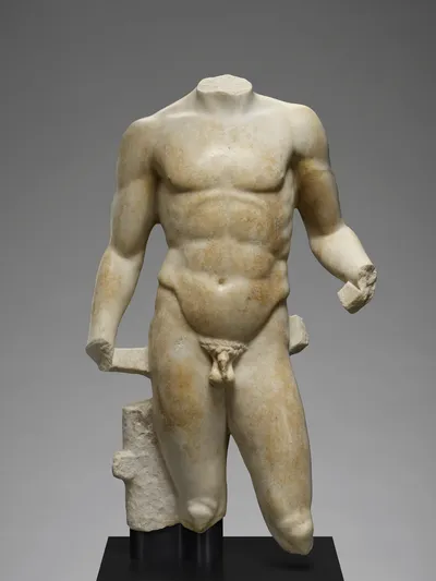 Male Torso