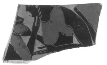 CUP, SIANA, FRAGMENT (ATHENIAN, BLACK-FIGURE)