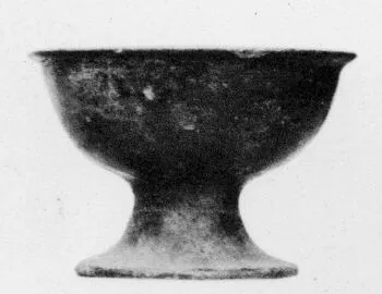 CUP (VEIAN)