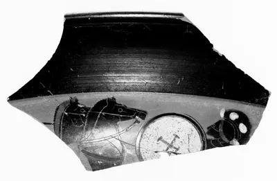 Attic Black-Figure Band Cup Fragment