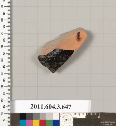 Terracotta fragment of an open vase