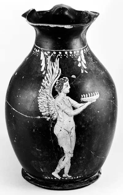 Gnathia Oinochoe