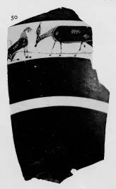 CUP, LITTLE MASTER BAND, FRAGMENT (ATHENIAN, BLACK-FIGURE)