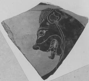 FRAGMENT (ATHENIAN, BLACK-FIGURE)