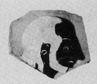 FRAGMENT (ATHENIAN, BLACK-FIGURE)