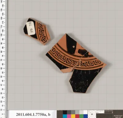 Terracotta fragments of a kylix (drinking cup)