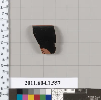 Terracotta rim fragment of a kylix (drinking cup)