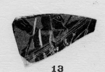 CUP, FRAGMENT (ATHENIAN, BLACK-FIGURE)