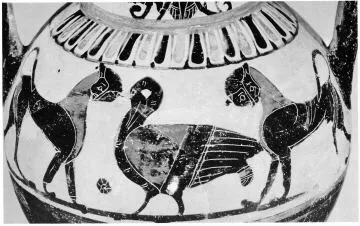 AMPHORA, NECK (ATHENIAN, BLACK-FIGURE)