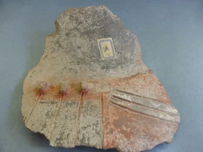 vase ; fragment