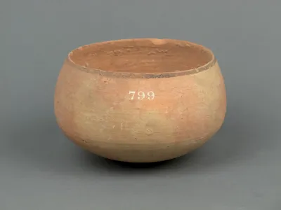 Bowl