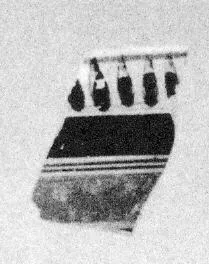 SKYPHOS, FRAGMENT (CORINTHIAN)