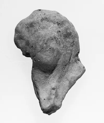 Female Head