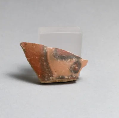 Vase fragment