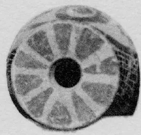 ALABASTRON (PROTOCORINTHIAN, BLACK-FIGURE)