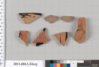 Terracotta fragments of kylikes (drinking cups)
