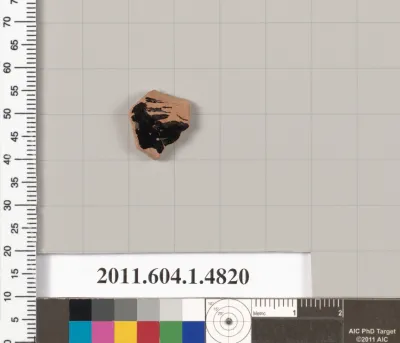 Terracotta fragment of a kylix (drinking cup)