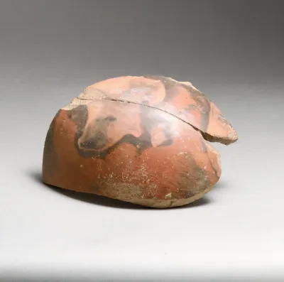 Vase fragment