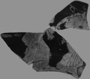 CUP, FRAGMENT (ATHENIAN, RED-FIGURE)