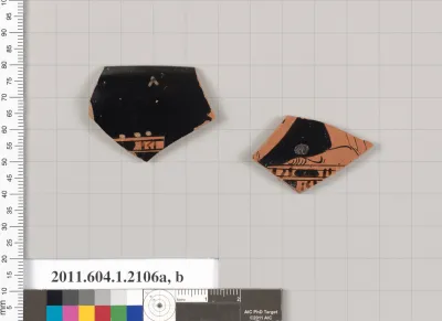 Terracotta fragments of a kylix (drinking cup)