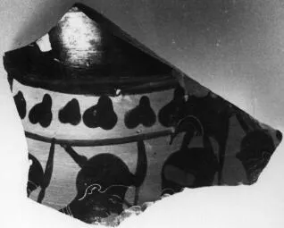 AMPHORA, BELLY, TYPE B, FRAGMENT (ATHENIAN, BLACK-FIGURE)