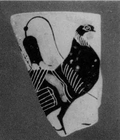 FRAGMENT (ATHENIAN, BLACK-FIGURE)