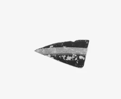 Attic Black-Figure Band Cup Fragment