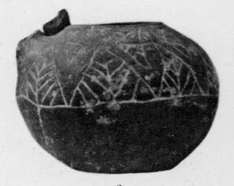 JAR (VILLA NOVA)