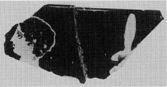 CUP, FRAGMENT (ATHENIAN, RED-FIGURE)