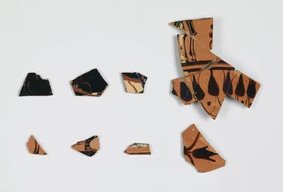 Attic Black-Figure Neck Amphora Fragment