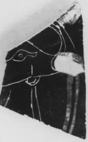 LEKYTHOS, FRAGMENT (ATHENIAN, BLACK-FIGURE)