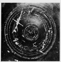 PLATE (ITALY, LATIUM, BLACK GLAZE)