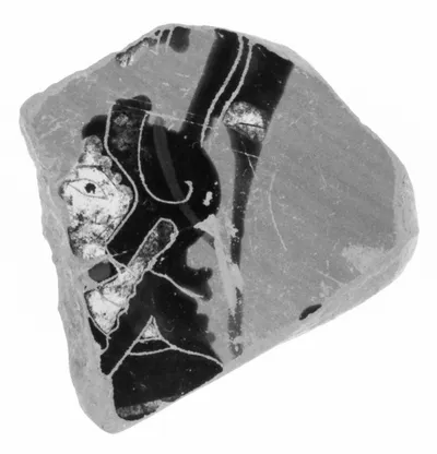 Attic Black-Figure Vase Fragment