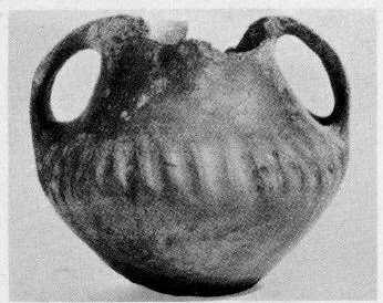 AMPHORA, BELLY (SOUTH ITALIAN, IMPASTO)
