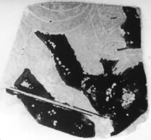 CUP (ATHENIAN, RED-FIGURE)
