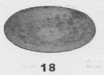 PLATE (ETRUSCAN)