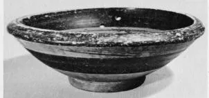 DISH (SOUTH ITALIAN)