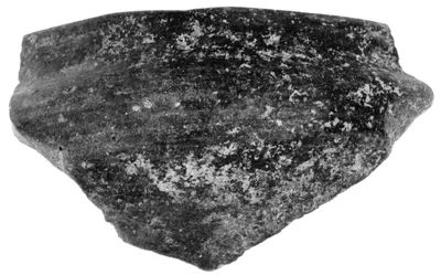 Fragment of a Small Bowl