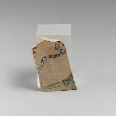Vase fragment